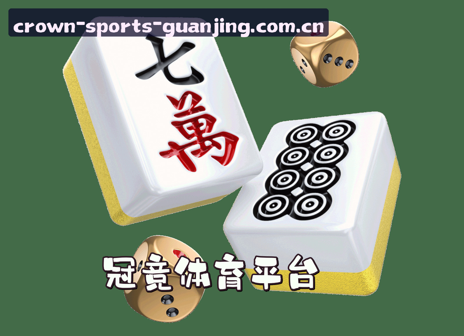 关于我们介绍